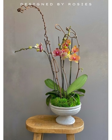 Orchid Oasis Flower Arrangement