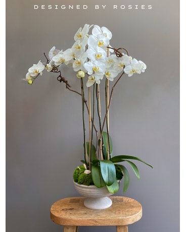 Obsidian フラワーカービングスカル オブシディアン Obsidian フラワーカービングスカル オブシディアン