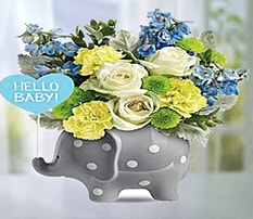 New Baby Flowers Delivered to all Community Hospitals