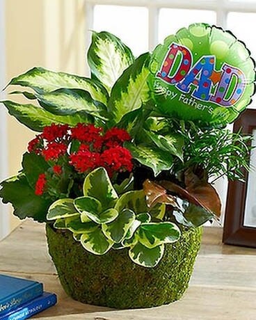 Happy Father's Day Dish Garden