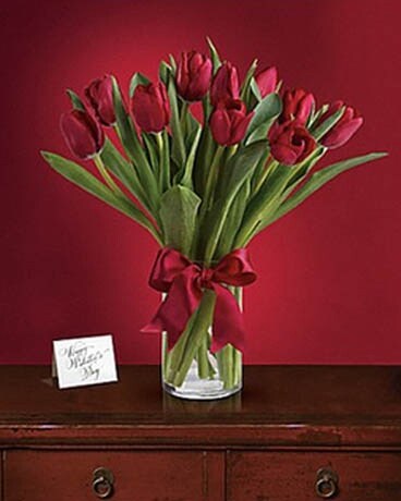 Radiantly Red Tulips