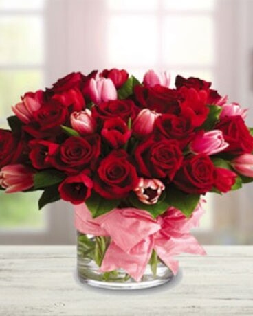 Tulips in Love