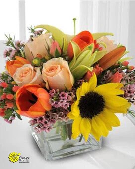 Essence of Spring