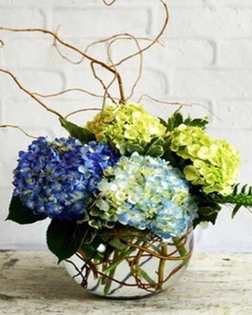 Southern Elegance
