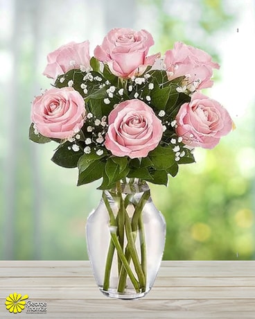 6 Pink Roses Bouquet Flower Arrangement