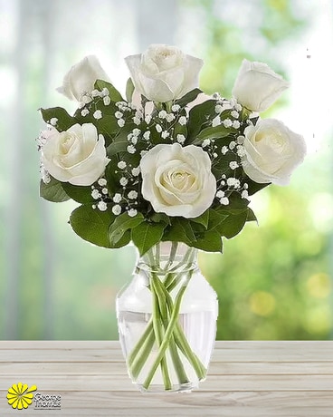 6 White Roses Bouquet Flower Arrangement