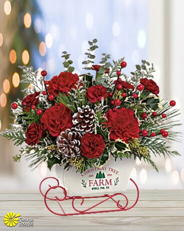 Snow What Fun Bouquet Flower Arrangement
