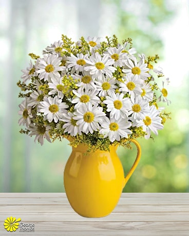 Sunny Day Daisies Flower Arrangement