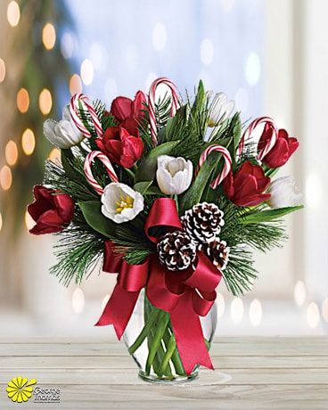 By Golly, It's Jolly Flower Arrangement