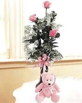 rose teddy bear $5