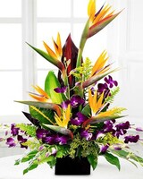 Birds in Paradise in Indianapolis IN - George Thomas Florist