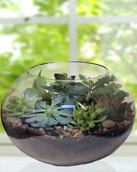 blue ceramic flower pot Aqua/Blue Ceramic Sanford Planter
