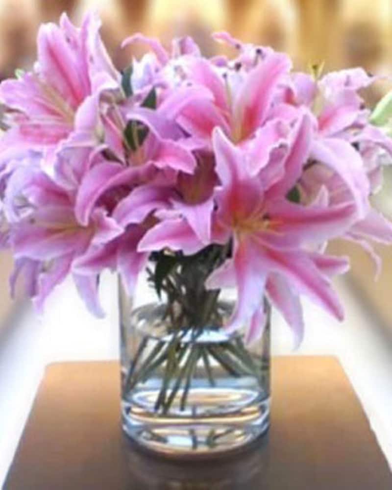 Simply Lilies in Indianapolis IN - George Thomas Florist