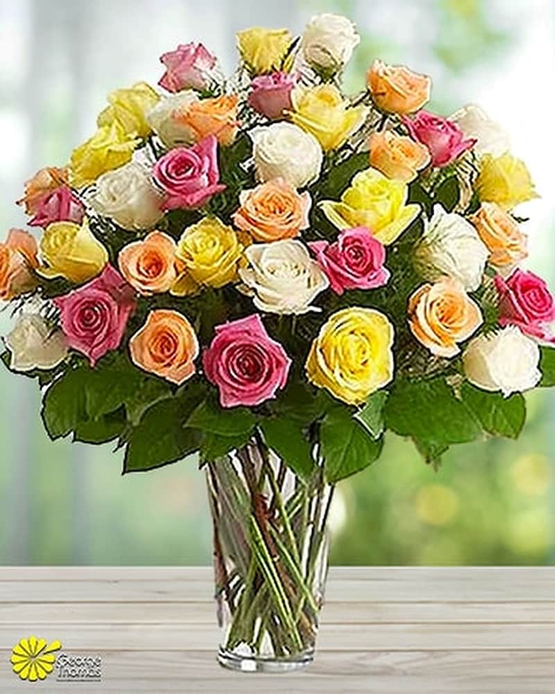 Three Dozen Premium Long Stem Assorted Roses in Indianapolis IN