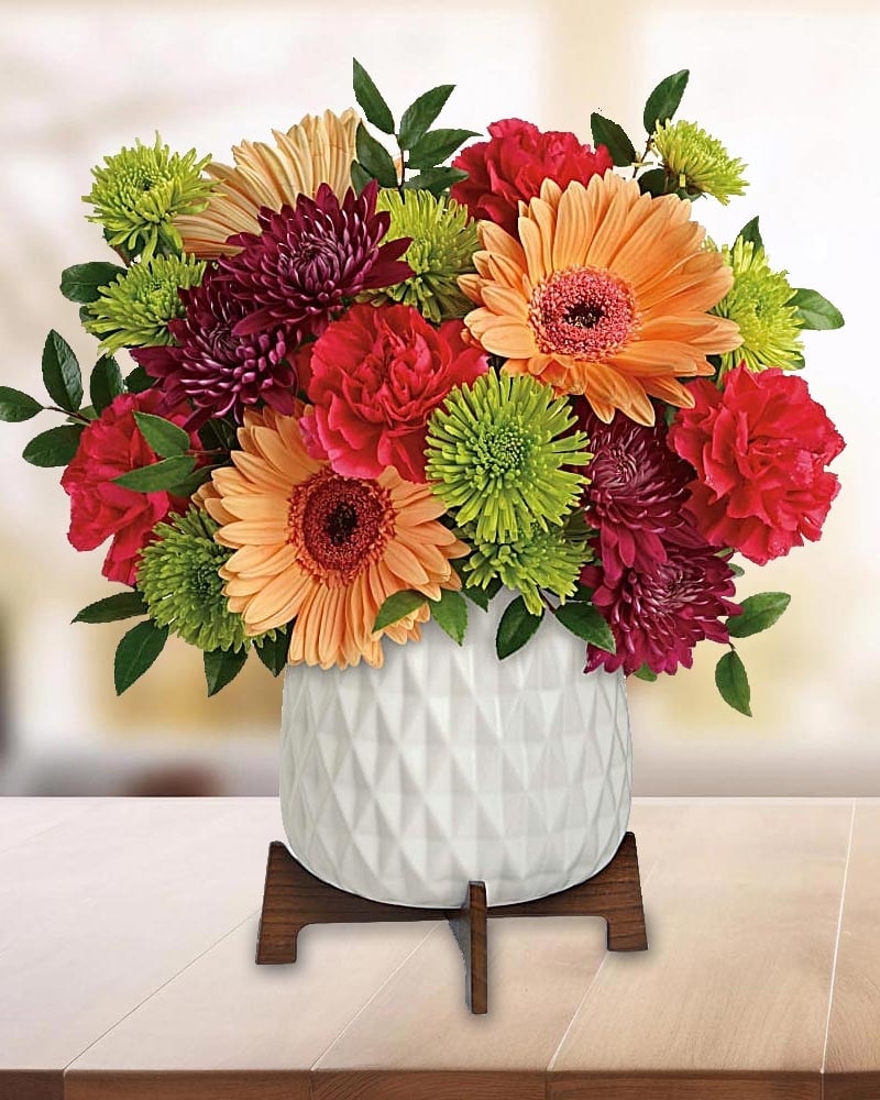 Mid Mod Brights in Indianapolis IN - George Thomas Florist