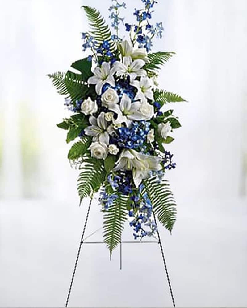 Ocean Breeze Spray in Indianapolis IN - George Thomas Florist