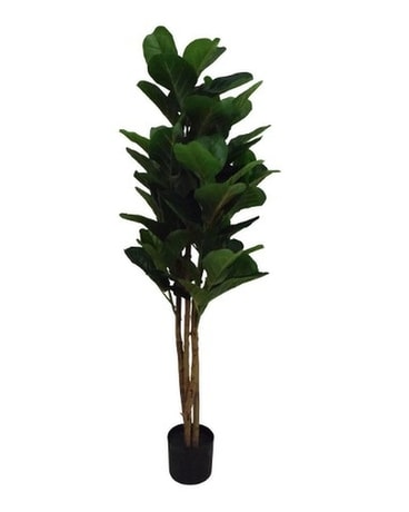 4 Foot Fiddle Tree Dried Flowers