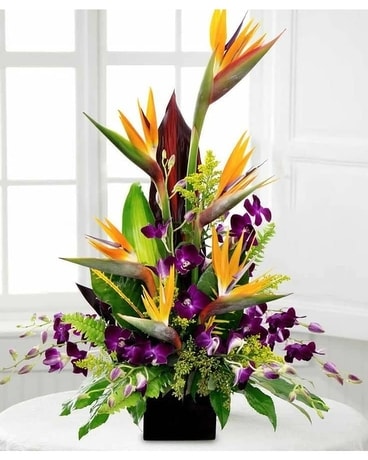 Birds of Paradise & Dendrobium Orchids Flower Arrangement