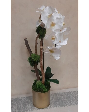 Permanent Single White Orchid Dried Flowers