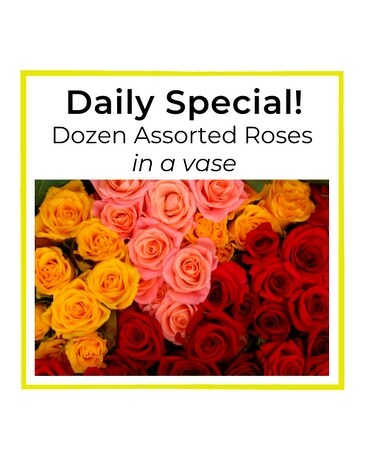 Dozen Roses Asst. Special Flower Arrangement