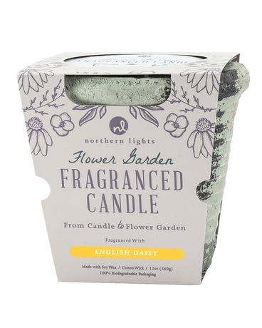 English Daisy Jar Candle