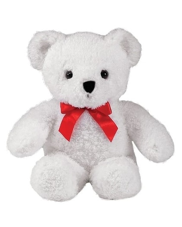 white small bear Gifts