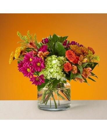 Deluxe size,  inches height and  inches wide.