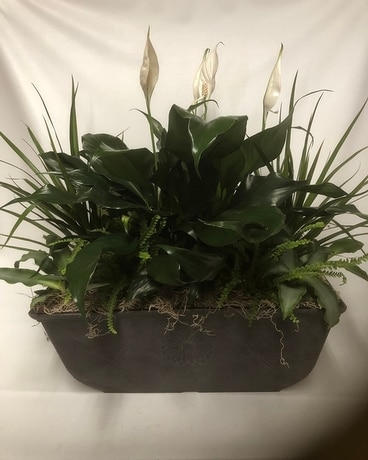 Standard size, 26 inches height and 20 inches wide.