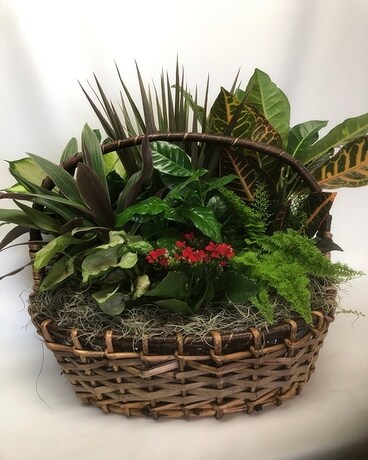 Large Wicker Basket Planter Plant