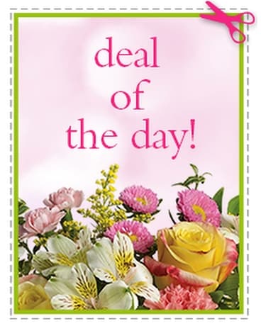 Deal of the Day Bouquet Flower Arrangement