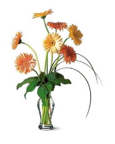 As Shown size,  inches height and  inches wide.