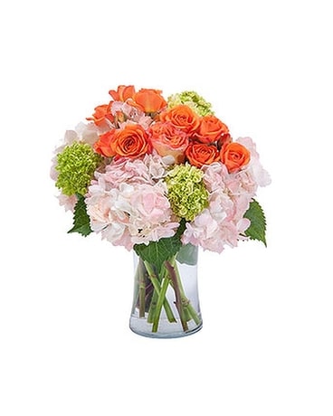 Romeo Beauty in Blossom Flower Arrangement