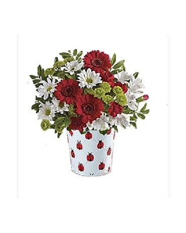 Christine's Ladybug Bouquet