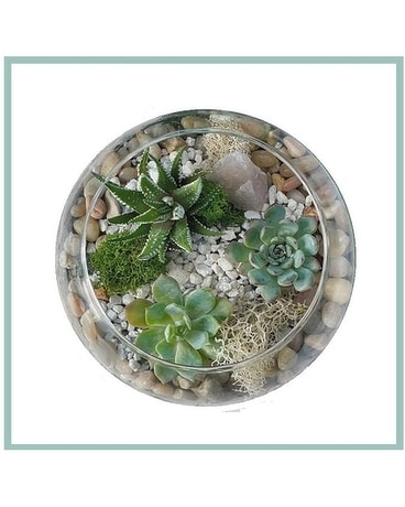 Succulent Garden Pickup Bowl Flower Arrangement