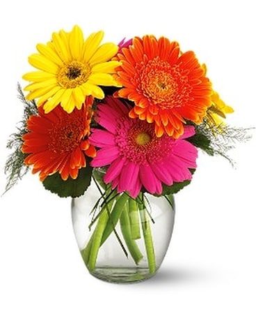 Fiesta Gerbera Bouquet Flower Arrangement