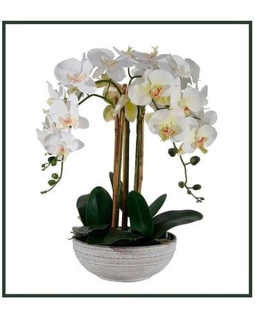 White Indoor Artificial Orchid Flower Bqt Specialty Arrangement
