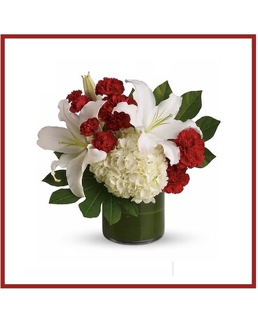 Cylinder Collection Delivery Columbus OH - cuFlowers.com