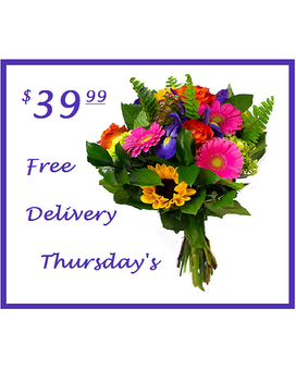 $39.99 Thursday <b>Zip 43201</B> size,  inches height and  inches wide.