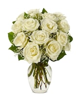 White size,  inches height and  inches wide.