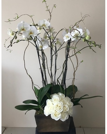 Signature Arrangement Flower Arrangement
