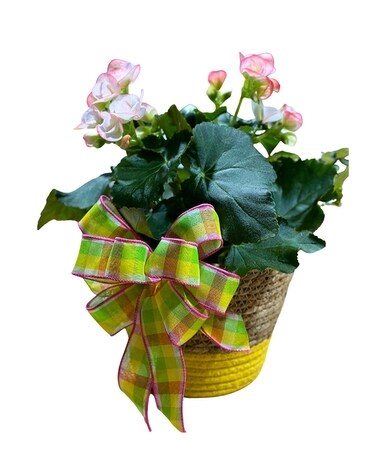 Spring Thanks Flower Arrangement