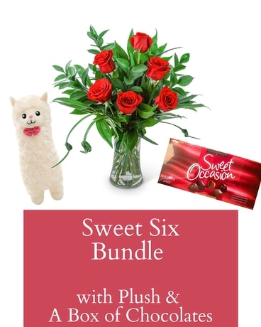Sweet Six Bundle Flower Arrangement