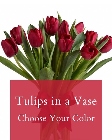 Tulips-Choose Your Color (In vase or wrapped) Flower Arrangement