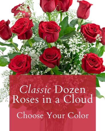 Classic Dozen Roses in a Cloud-Choose Your Color Flower Arrangement