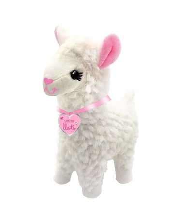 Llama Gifts