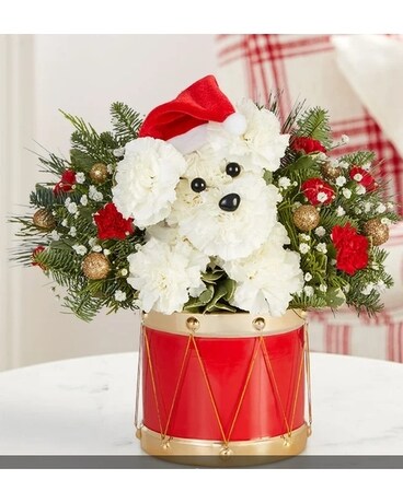 Santa Paws Flower Arrangement