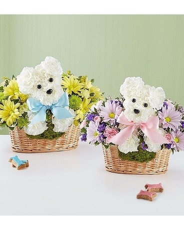 Baby Dogable.....for Boy or Girl Flower Arrangement