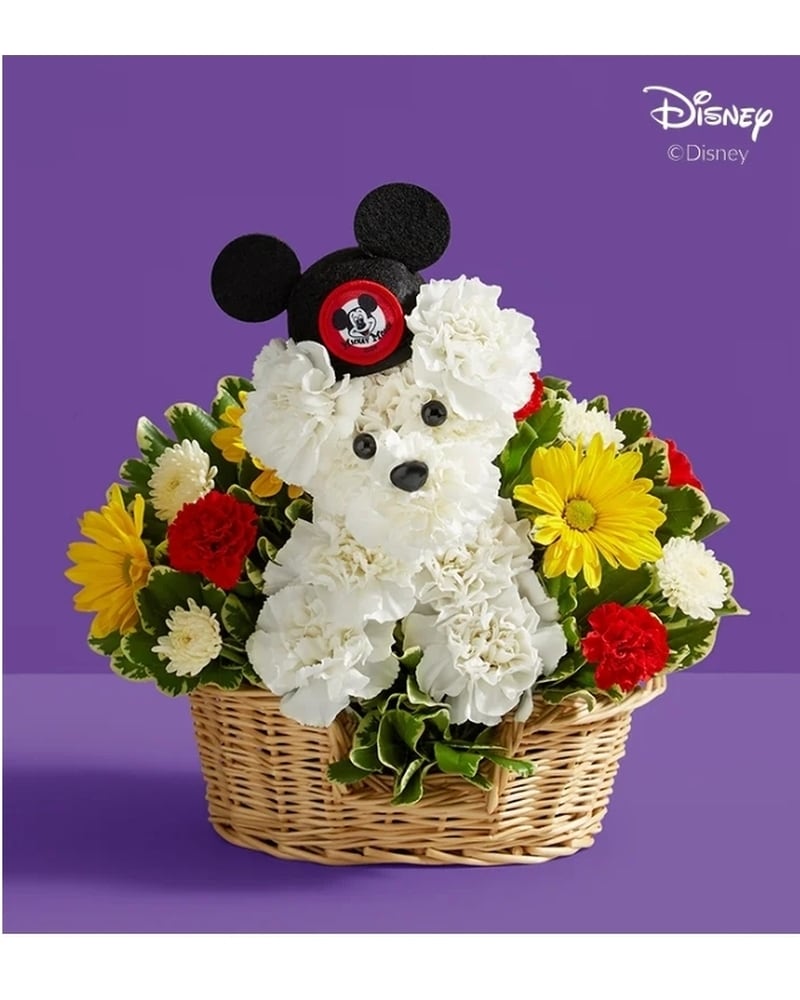 MICKEY FLOWER BED+VACATION PACKAGESグッズ Dogable Disney Mickey Mouse for Holiday in Voorhees NJ - Nature's