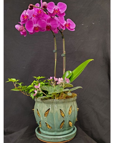 Felthousen's  Orchid Planter Flower Arrangement