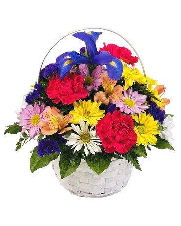 Bold & Beautiful Flower Arrangement